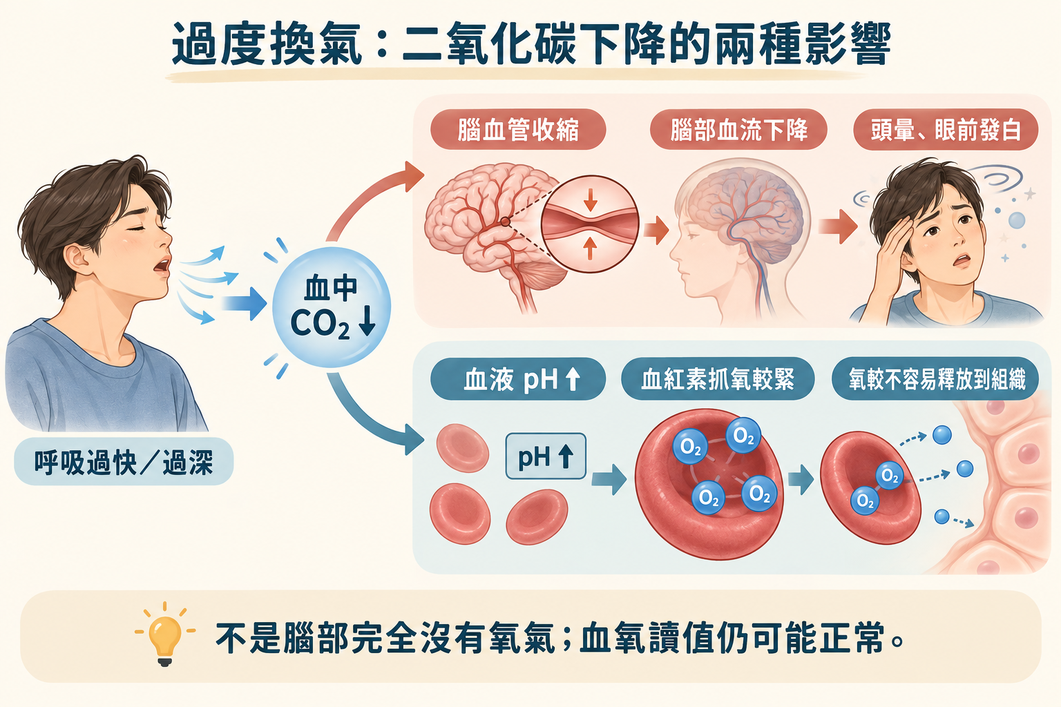 過度換氣時二氧化碳下降的兩種影響：腦血管收縮使腦部血流減少，以及血紅素較不容易將氧氣釋放到組織