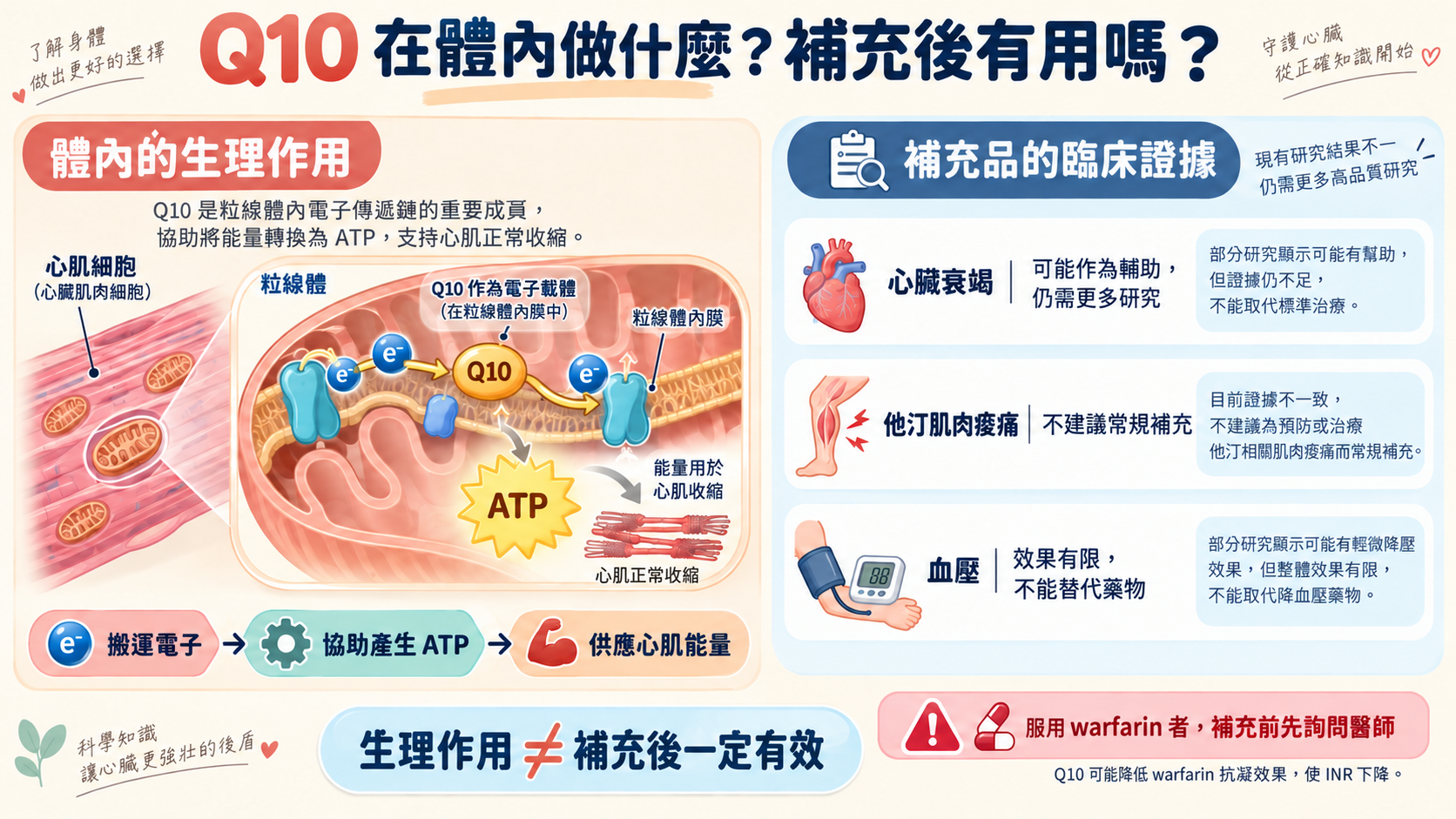 輔酶Q10在粒線體內膜搬運電子、協助細胞產生ATP，以及心臟衰竭、他汀肌肉症狀與血壓三種補充情境的證據比較