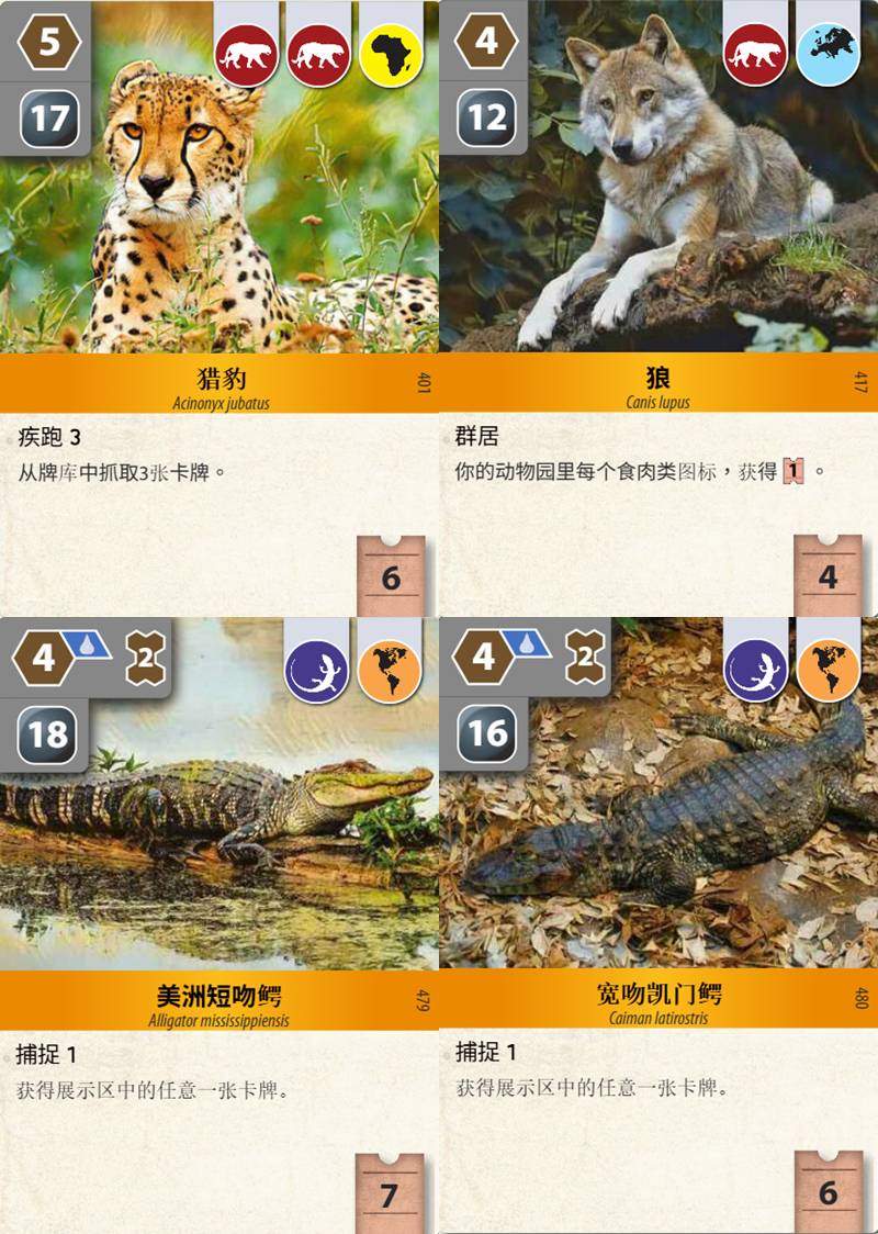從100場方舟動物園(Ark Nova)學到什麼(翻譯)