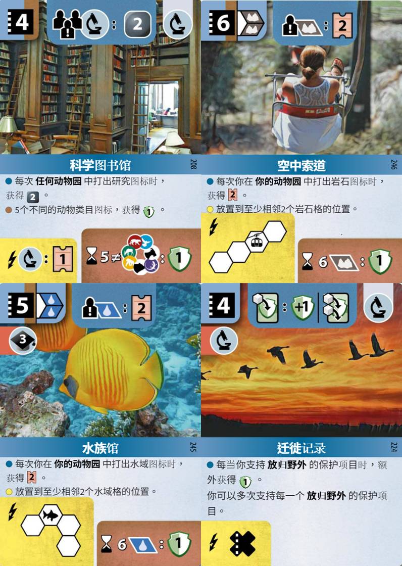 從100場方舟動物園(Ark Nova)學到什麼(翻譯)