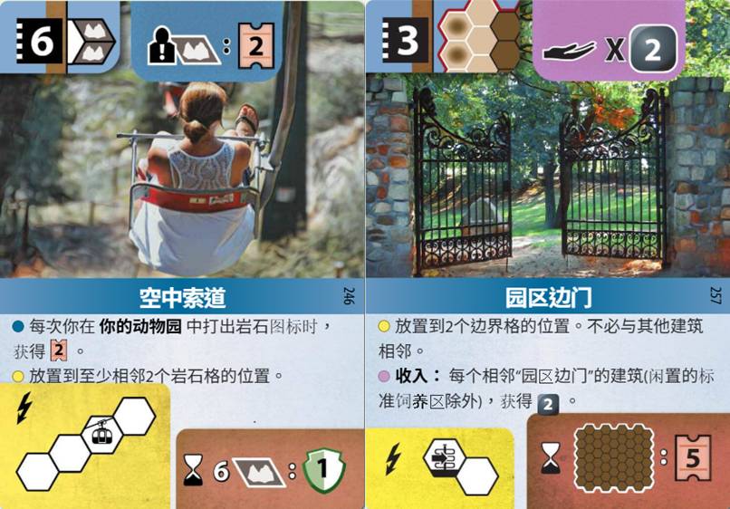 從100場方舟動物園(Ark Nova)學到什麼(翻譯)