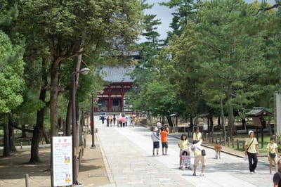漫步奈良東大寺參道，綠意盎然的夏日午後