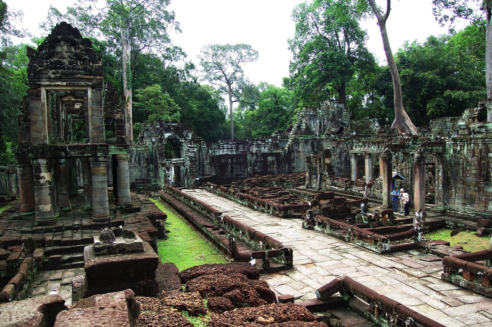 古老寺廟遺跡與巨大樹木交織的奇特景觀｜2007/06 柬埔寨