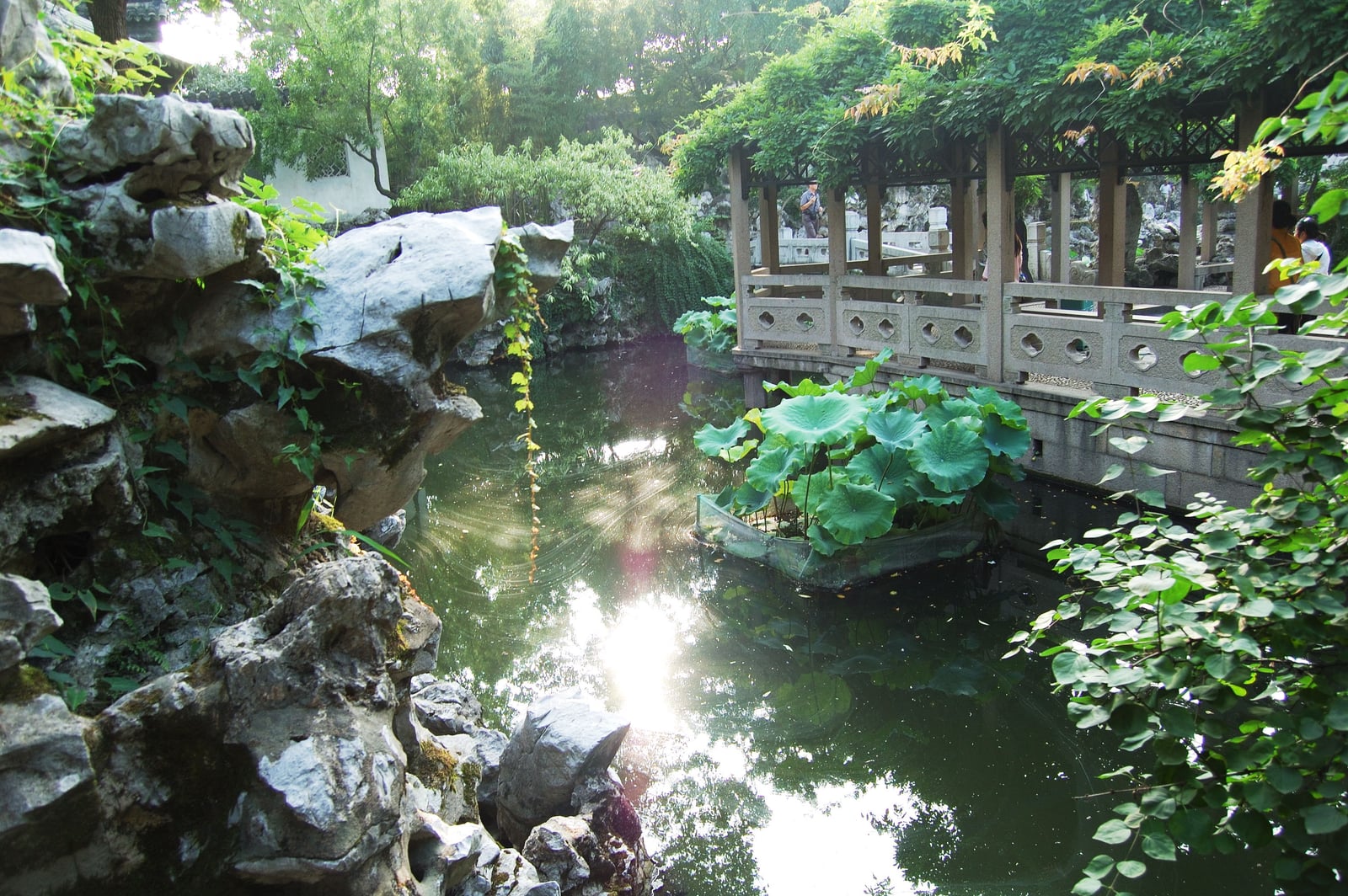 拙政園水榭旁的綠意與池光｜2007/07 中國江南