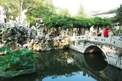 拙政園的石拱橋與池畔綠意