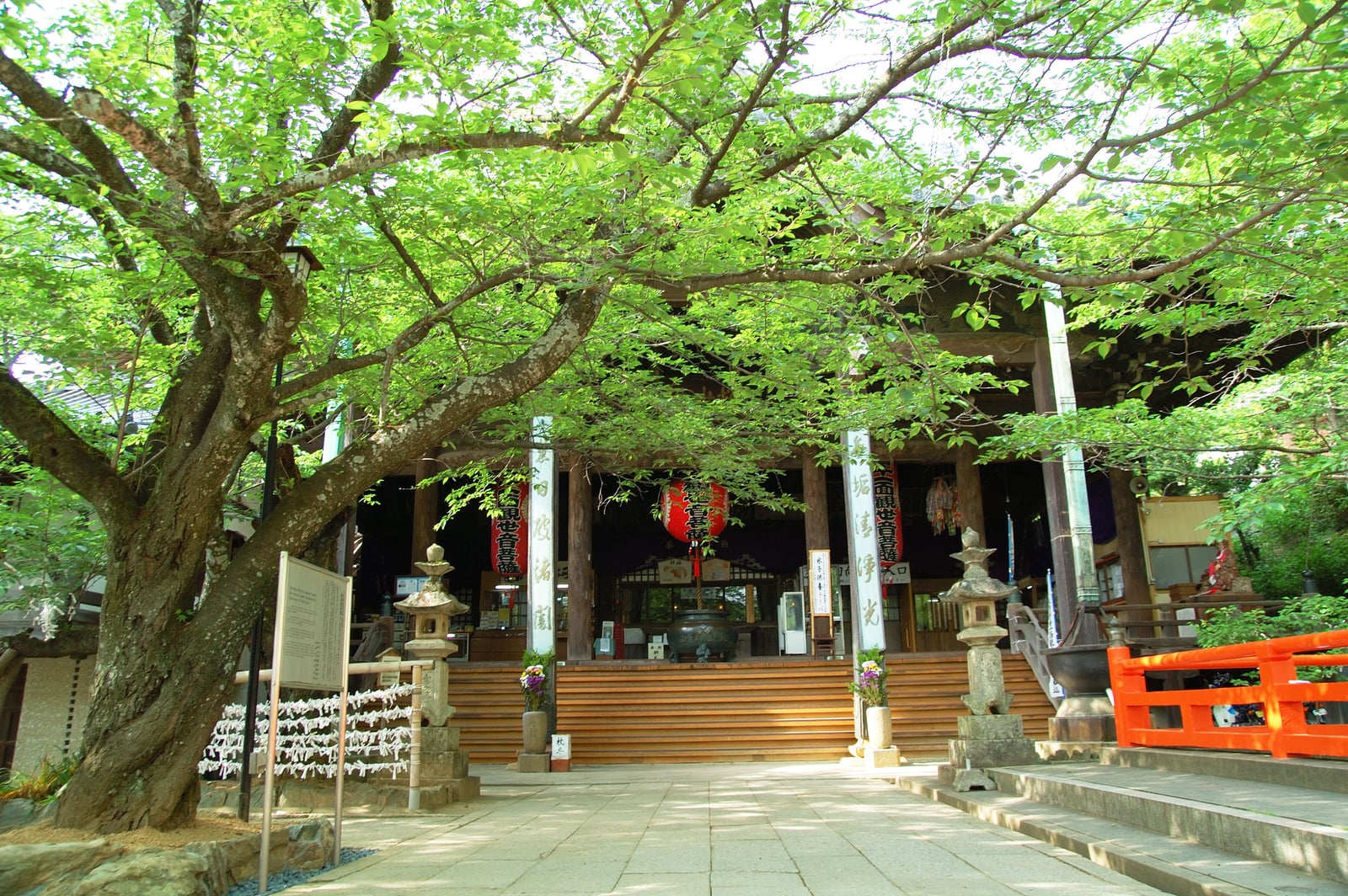 紀三井寺本堂前的翠綠樹蔭｜2008/05 紀州半島/京阪