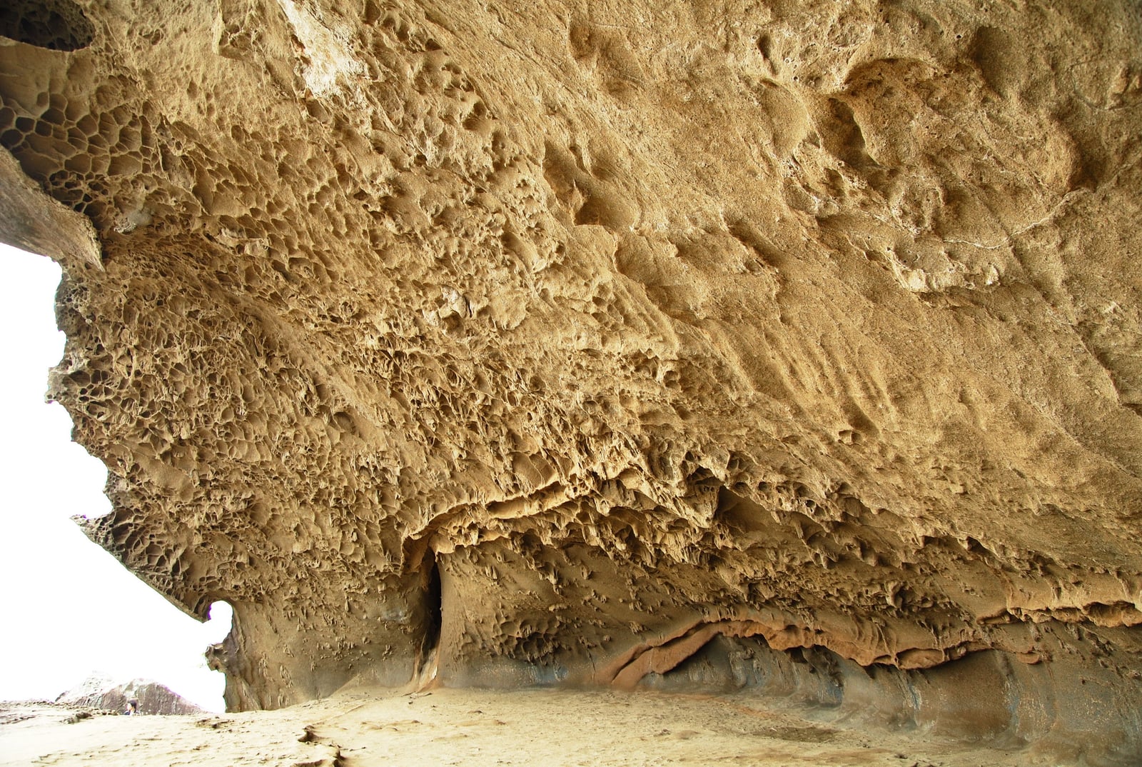 鬼ヶ城潮吹的蜂巢狀岩壁紋理｜2008/05 紀州半島/京阪