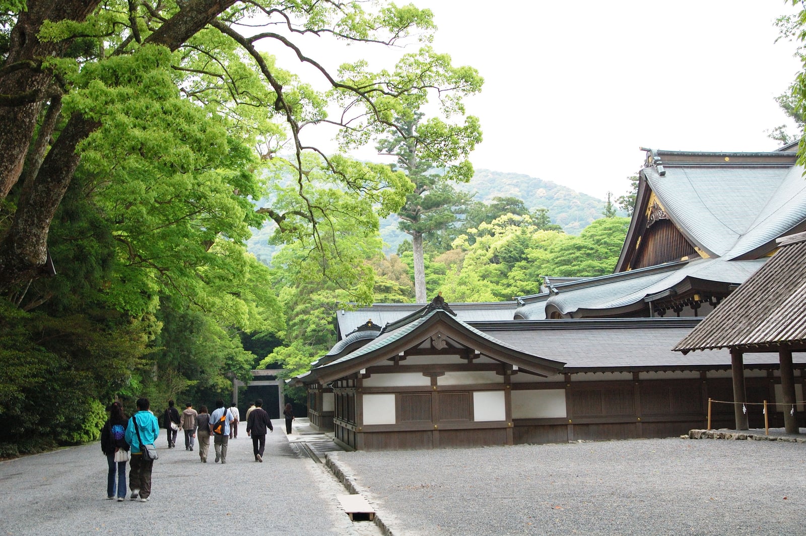 伊勢神宮內宮的翠綠參道與古樸殿宇｜2008/05 紀州半島/京阪