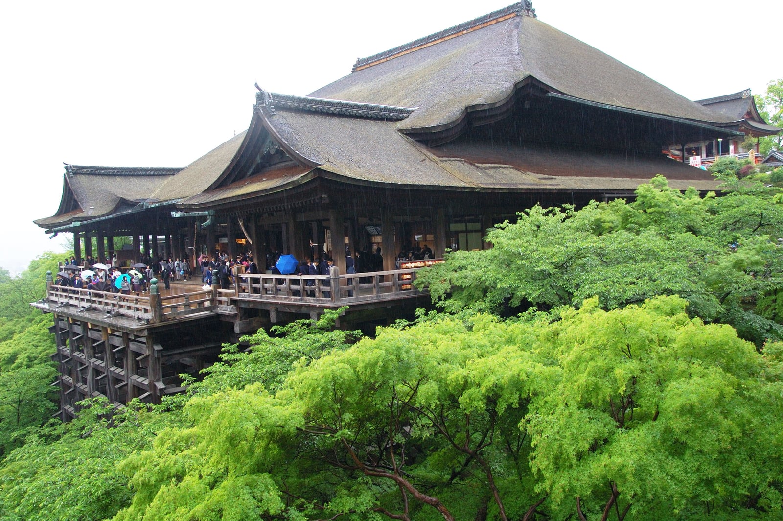 雨中清水寺本堂的翠綠楓景｜2008/05 紀州半島/京阪