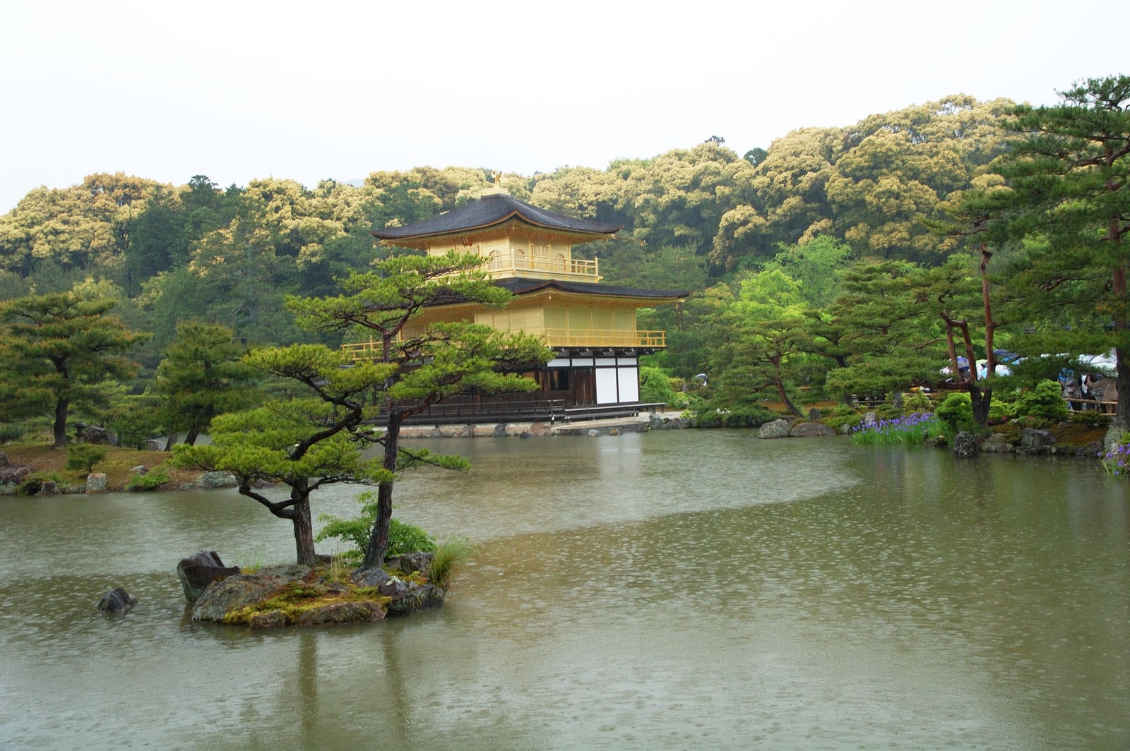 雨中靜謐的鹿苑寺金閣倒影｜2008/05 紀州半島/京阪