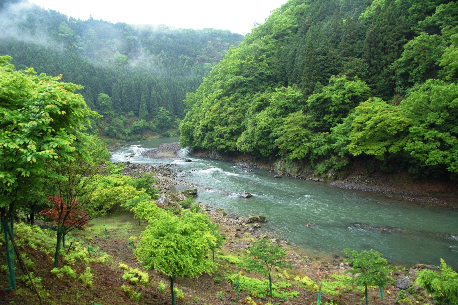 保津峽翠綠山谷與蜿蜒溪流｜2008/05 紀州半島/京阪