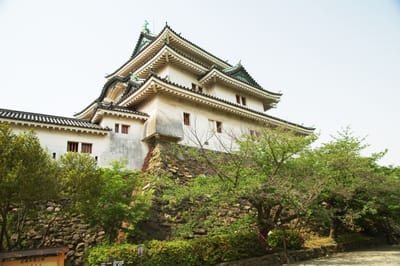 和歌山城天守閣的雄偉姿態｜2008/05 紀州半島/京阪