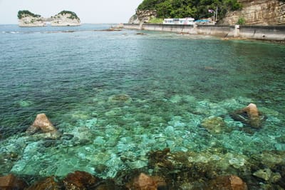 白濱町円月島的清澈碧藍海景｜2008/05 紀州半島/京阪