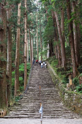 大門坂古道：參天巨木下的石階步道
