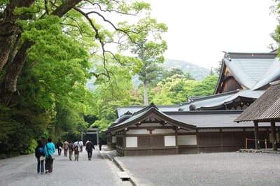 伊勢神宮內宮的翠綠參道與古樸殿宇