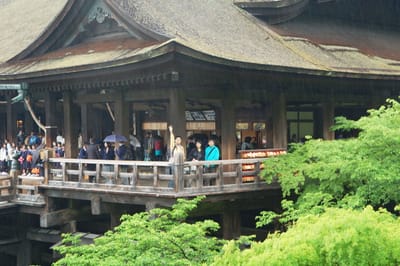 雨中清水寺本堂的遊客身影