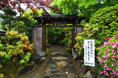 天龍寺西山艸堂的靜謐木門與庭園