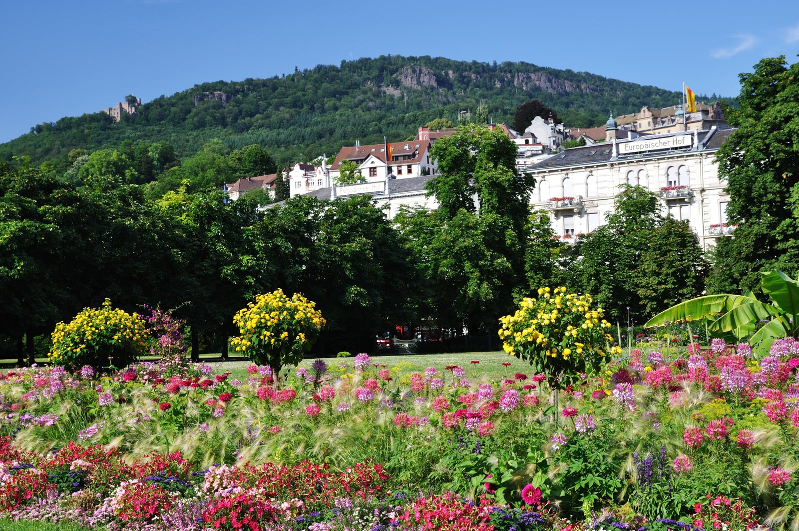 綠意花園遠眺巴登巴登市景與山丘風光｜2010/07 德國南部黑森林