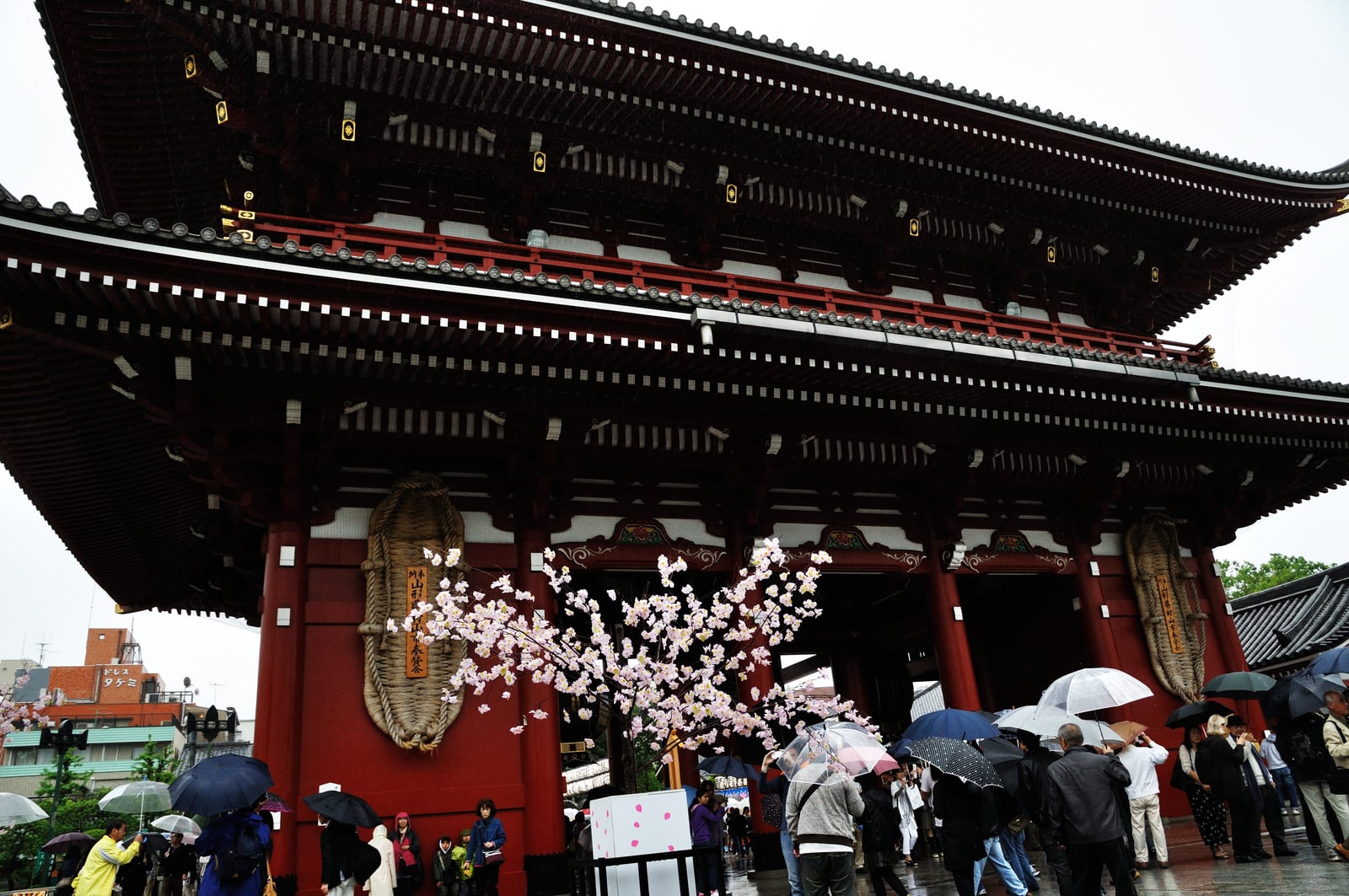 雨中淺草寺寶藏門的朱紅氣勢｜2012/05 北陸