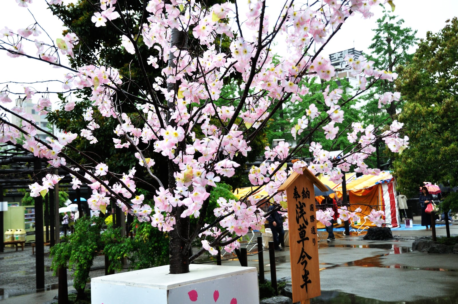 淺草寺境內盛開的粉嫩櫻花｜2012/05 北陸