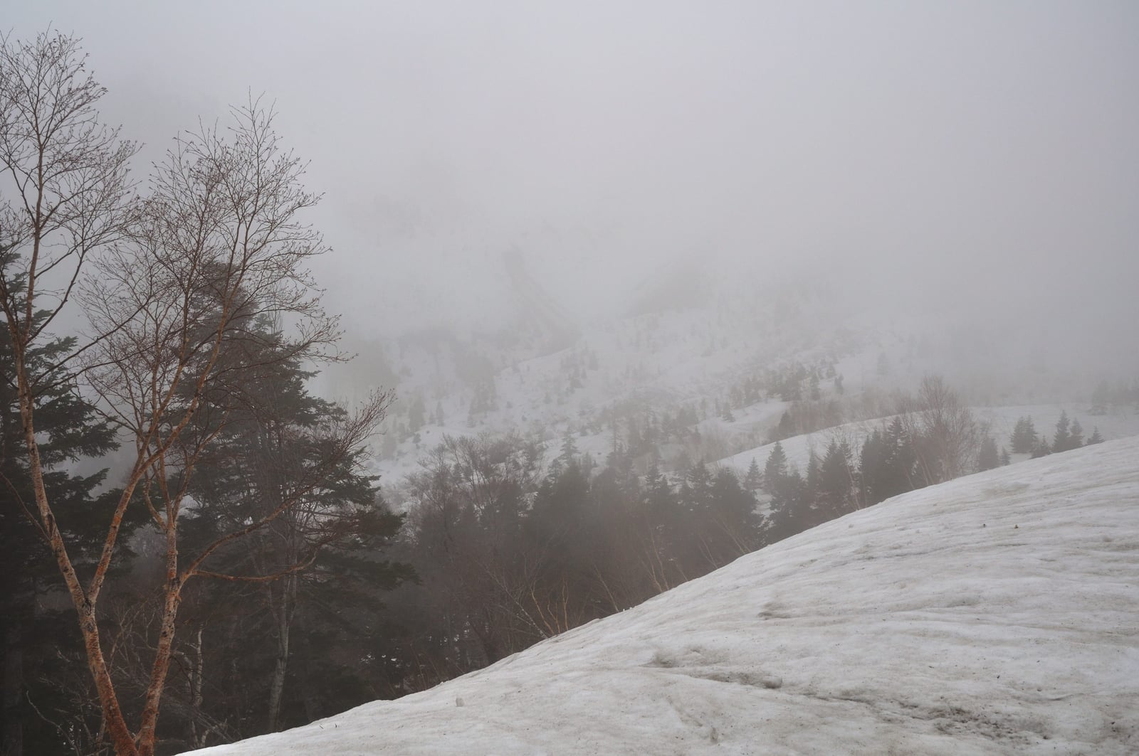 黑部水壩周邊的迷霧雪景｜2012/05 北陸