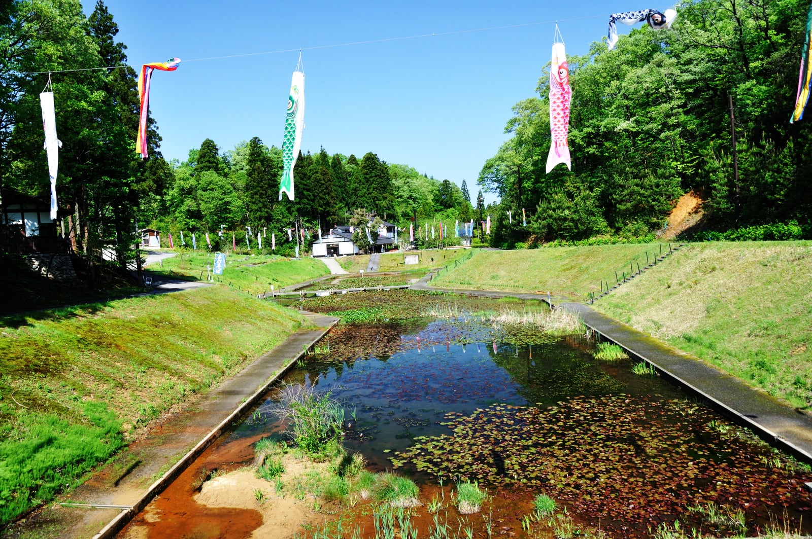 湯之國森林的五月鯉魚旗飄揚｜2012/05 北陸