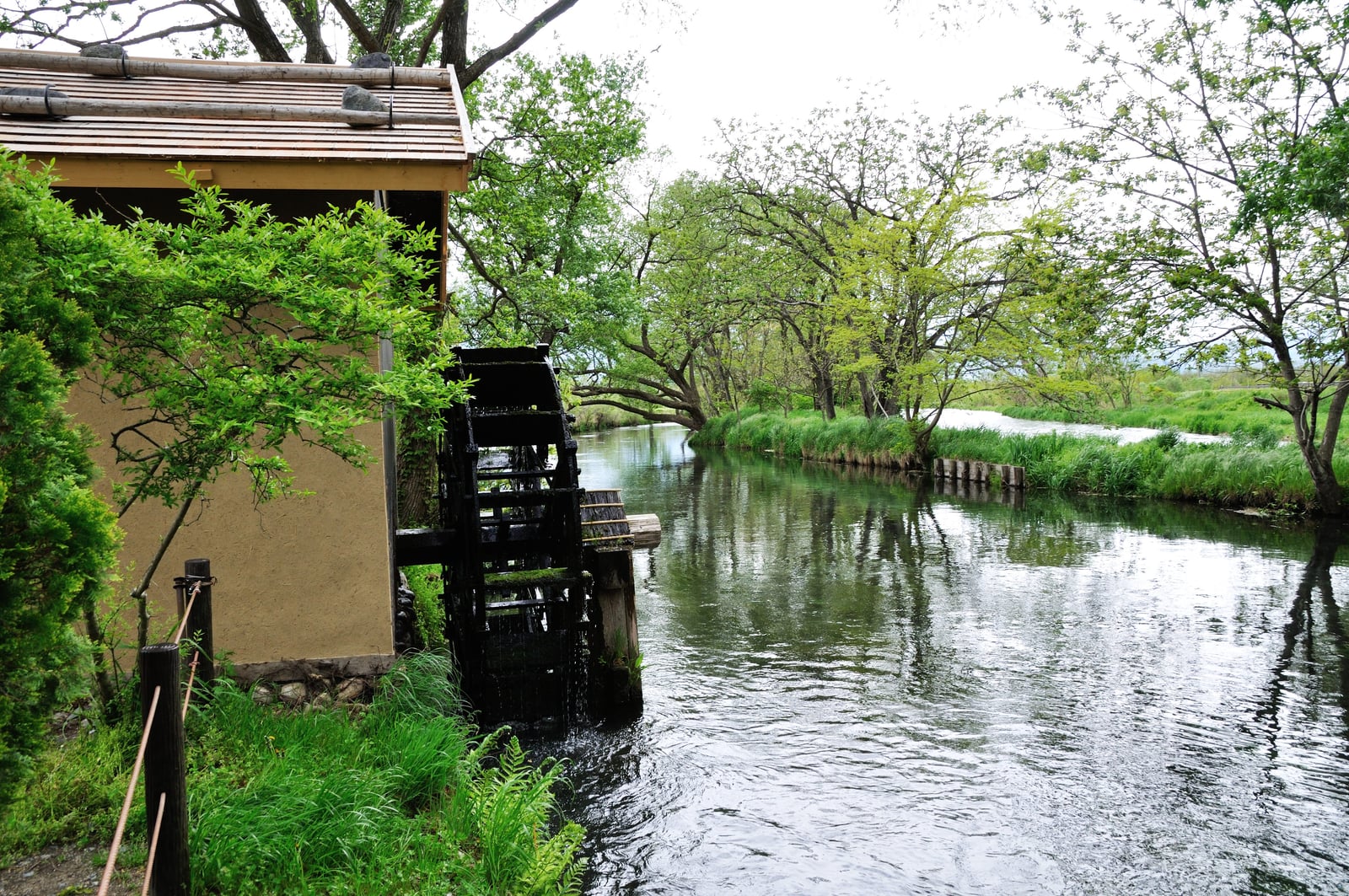 蓼川水車小屋的靜謐溪畔風光｜2012/05 北陸