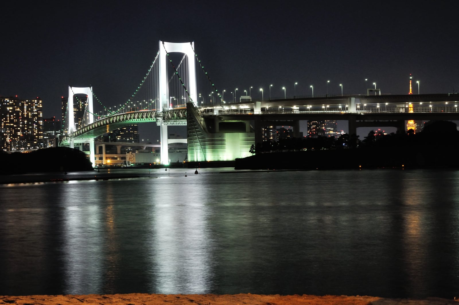 彩虹大橋的璀璨夜色與東京鐵塔｜2012/05 北陸