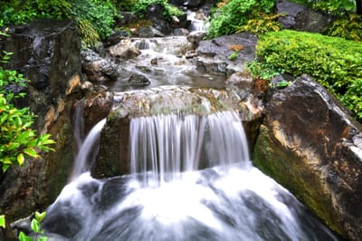 淺草寺庭園中的清幽流瀑
