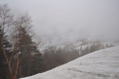 黑部水壩周邊的迷霧雪景