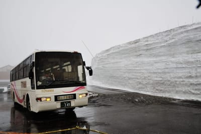 室堂雪牆旁的觀光巴士