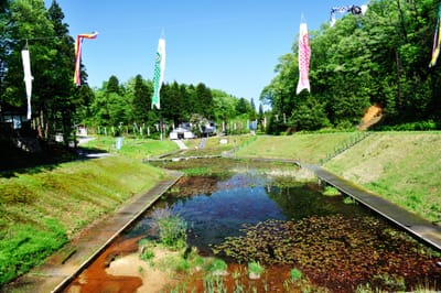 湯之國森林的五月鯉魚旗飄揚｜2012/05 北陸