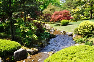 兼六園內蜿蜒流淌的清澈溪流