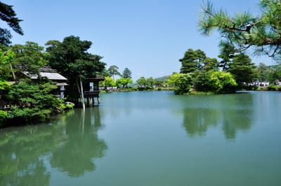 兼六園霞之池的翠綠春日景致