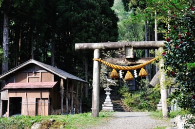 相倉合掌造聚落的靜謐鳥居與石階