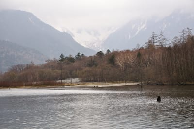 大正池畔的初春殘雪山景
