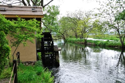 蓼川水車小屋的靜謐溪畔風光