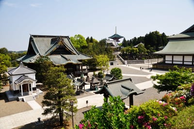 成田山新勝寺的靜謐庭園與古剎建築
