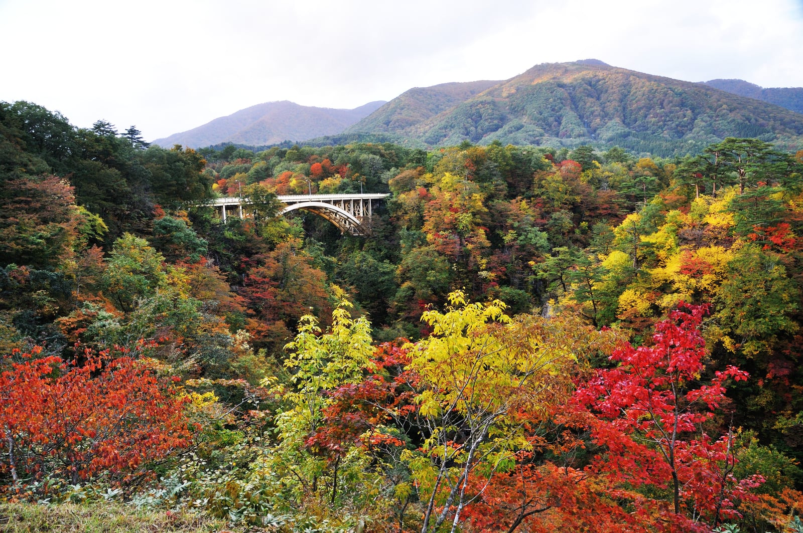 鳴子峽大深澤橋的秋日斑斕色彩｜2013/10 日本東北紅葉