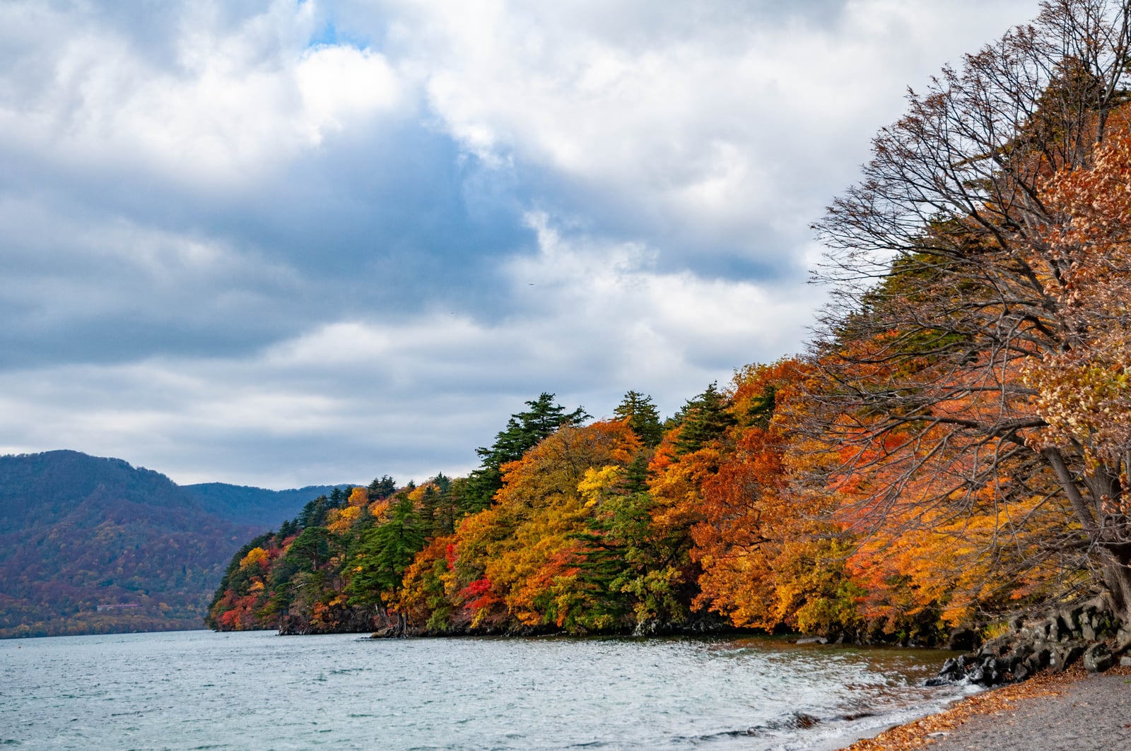 十和田湖畔的秋日層疊紅葉｜2013/10 日本東北紅葉