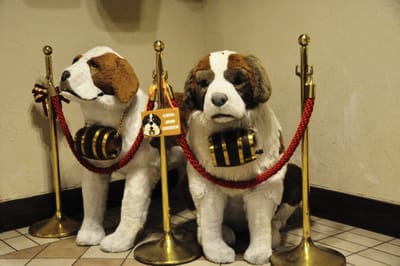 Hotel Onikoube 的聖伯納犬玩偶｜2013/10 日本東北紅葉