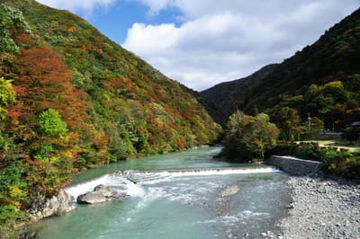 抱返溪谷的秋色山水與湍急河道｜2013/10 日本東北紅葉