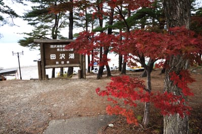 田澤湖畔的紅葉與木製地標｜2013/10 日本東北紅葉