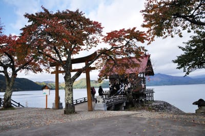 田澤湖畔的紅葉鳥居與浮木神社