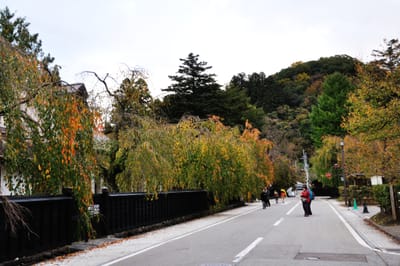 角館武家屋敷的秋日垂枝與黑牆｜2013/10 日本東北紅葉