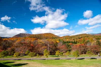 安比高原秋日山巒與藍天白雲｜2013/10 日本東北紅葉
