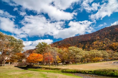十和田湖畔的秋日暖陽與斑斕森林｜2013/10 日本東北紅葉