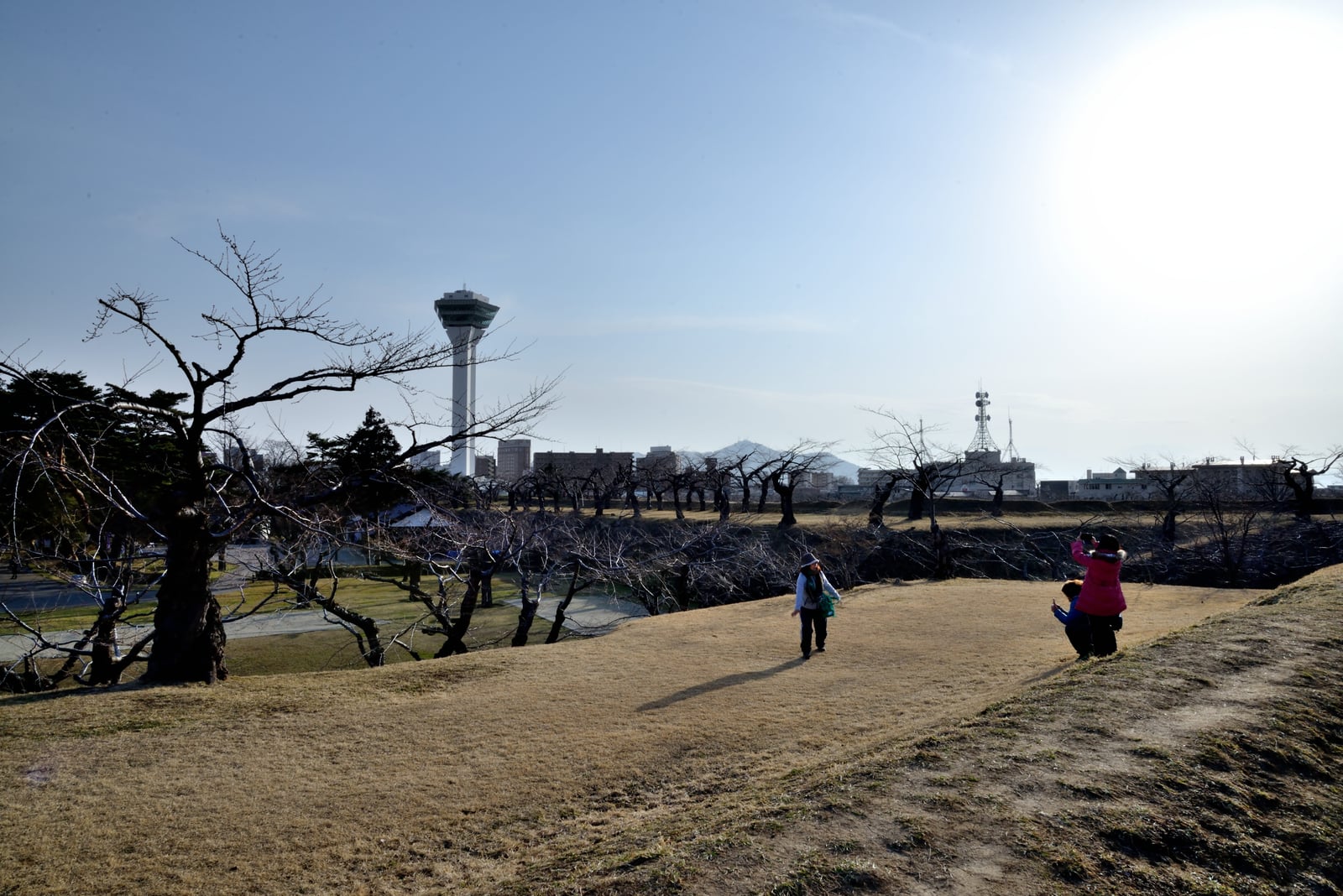 五稜郭塔下的春日暖陽與枯枝｜2015/03 北海道