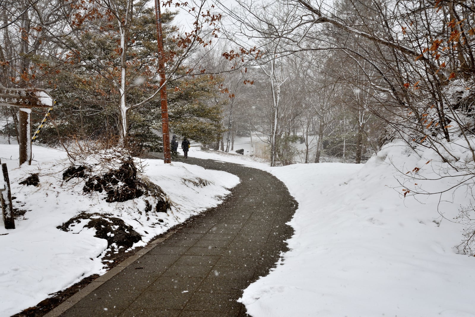 大沼國定公園的初春雪徑｜2015/03 北海道