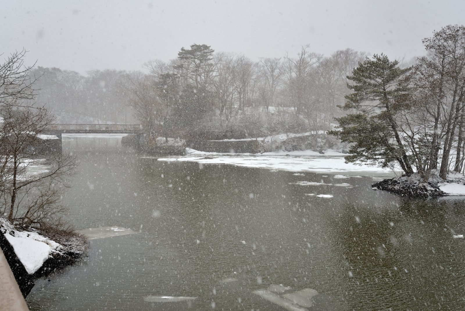 大沼國定公園的靜謐雪景｜2015/03 北海道